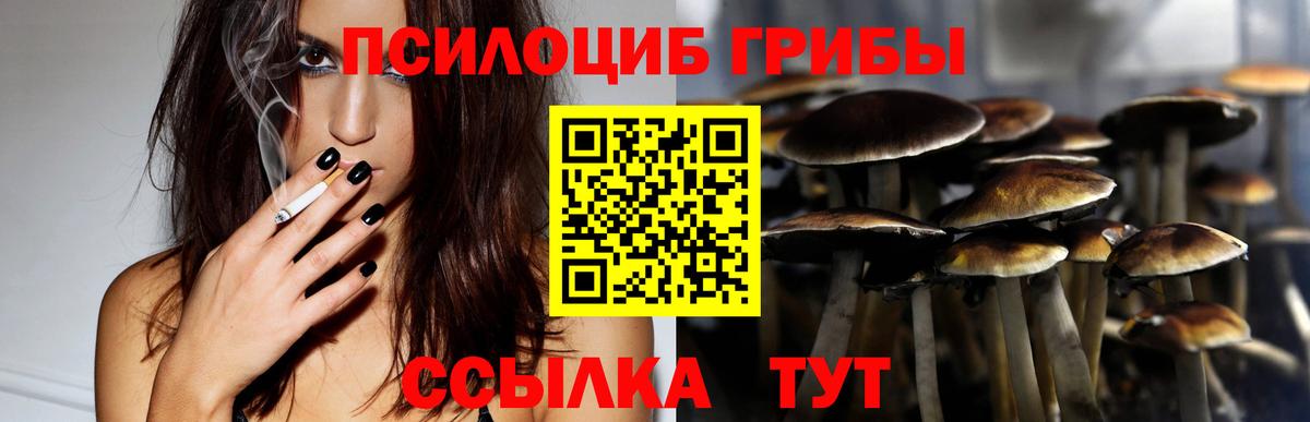 Псилоцибиновые грибы прущие грибы Прокопьевск