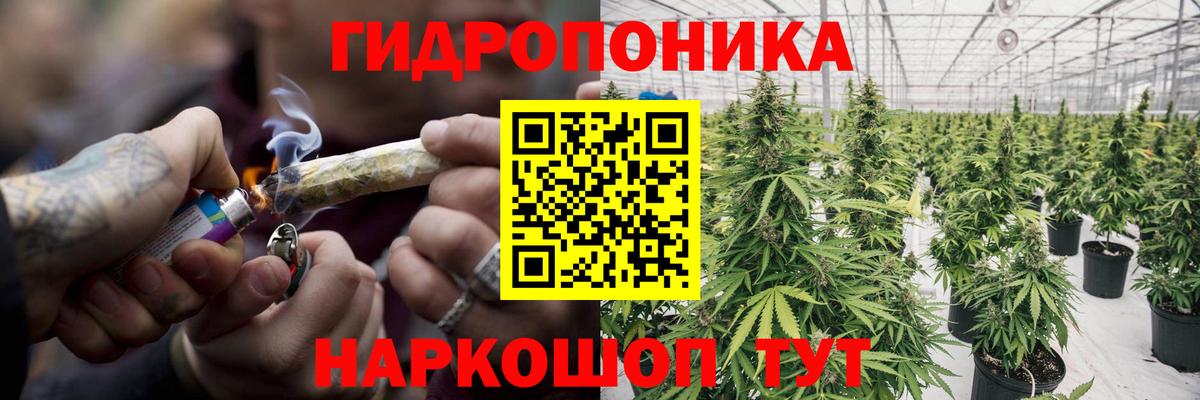 Бошки Шишки ГИДРОПОН Прокопьевск